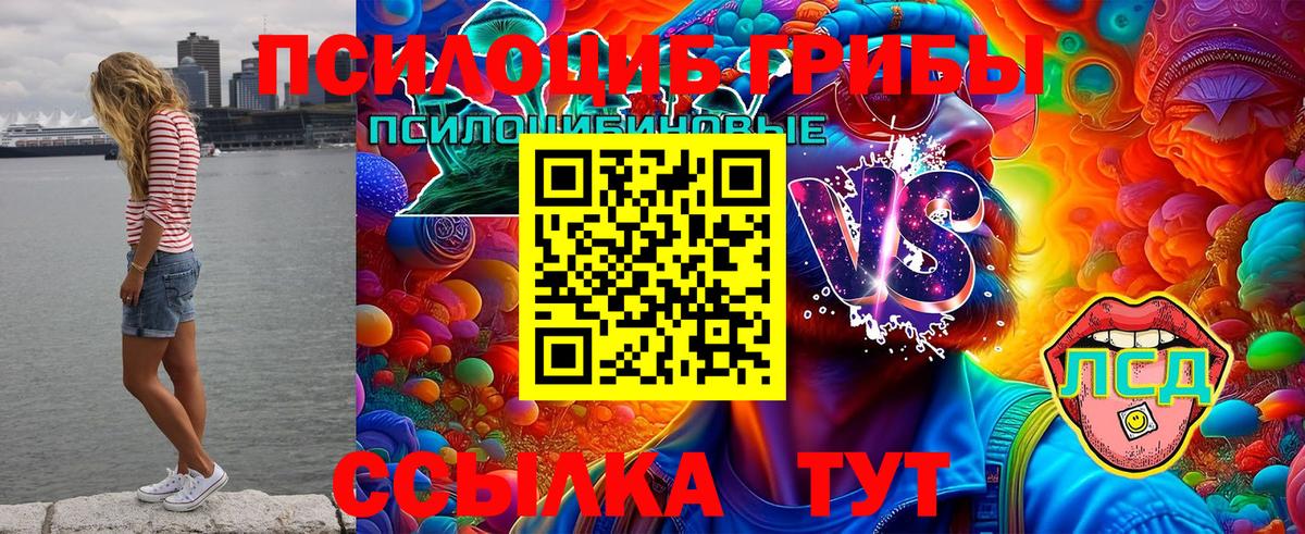 Псилоцибиновые грибы Cubensis Калач-на-Дону